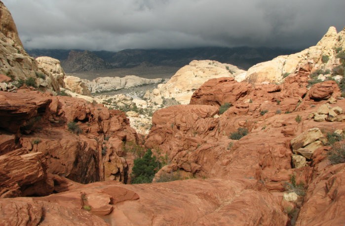 Calico Tank Trail